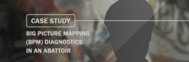 Case Study Big Picture Mapping BPM diagnostics in an abattoir