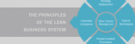The 21st Century – The Principles of the Lean Business System: #8 Perfection