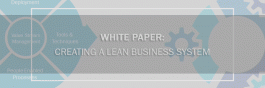 Creating a Lean Business System