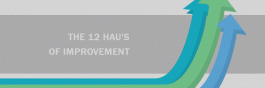 The 12 Hau's of Improvement