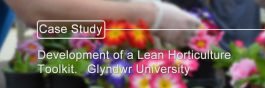 blurred image of someone caring for flowers
