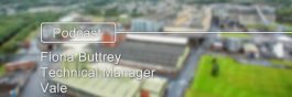 Image if Vale refinery