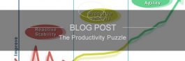 The Productivity Puzzle image