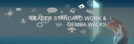 LEADER STANDARD WORK & GEMBA WALKS white paper